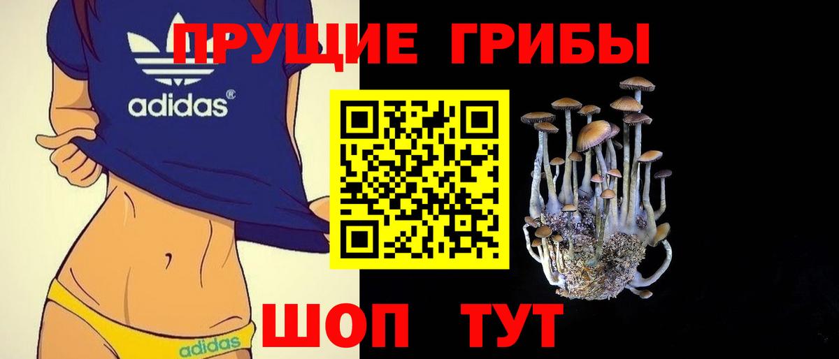 Кушва  Галлюциногенные грибы GOLDEN TEACHER  Вход с VPN 